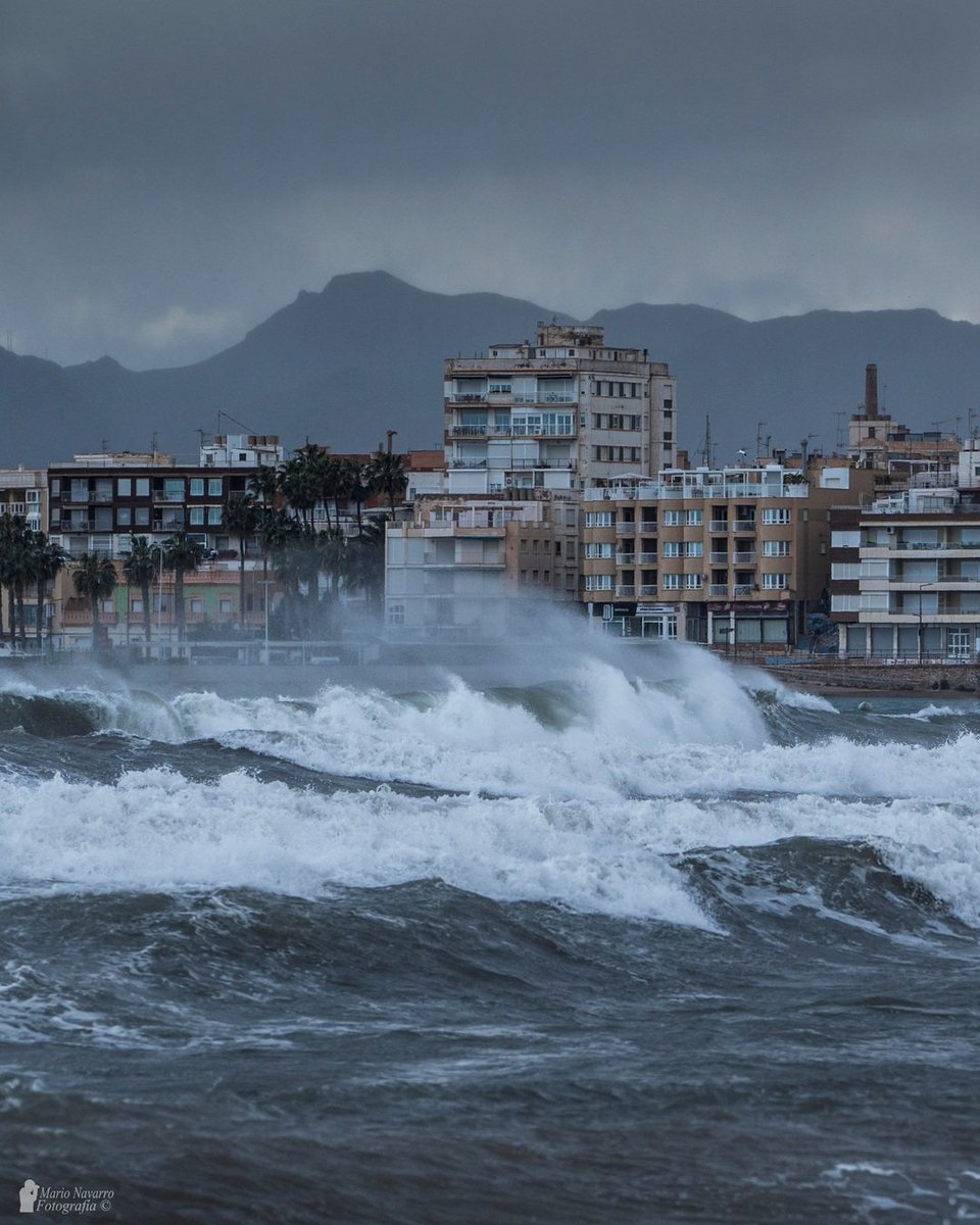 Mario Navarro tweet media