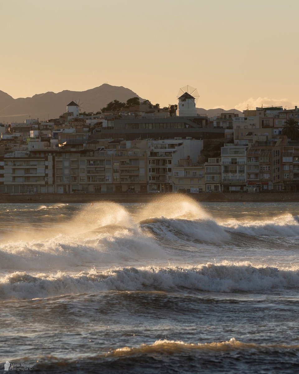 Mario Navarro tweet media