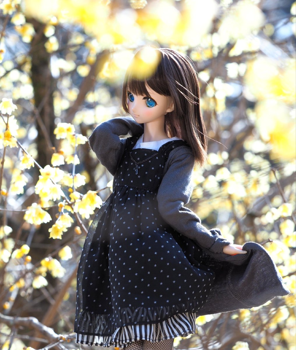 りんごちゃん🍎 (@DollAppleChan) / Posts / X