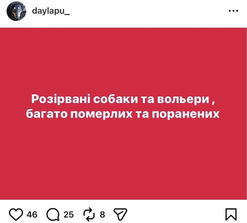 Лисиця tweet media