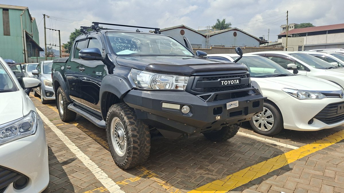 Dr. Aine @ Emotors tweet media