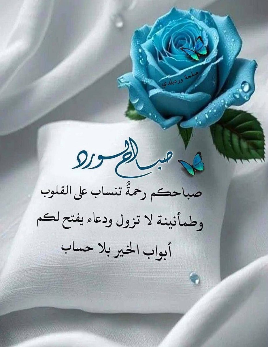 إلهام زكي العباسي الهاشمي (@elham_alhashemi) on Twitter photo 
