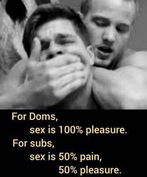 DomAdor backup acc tweet media