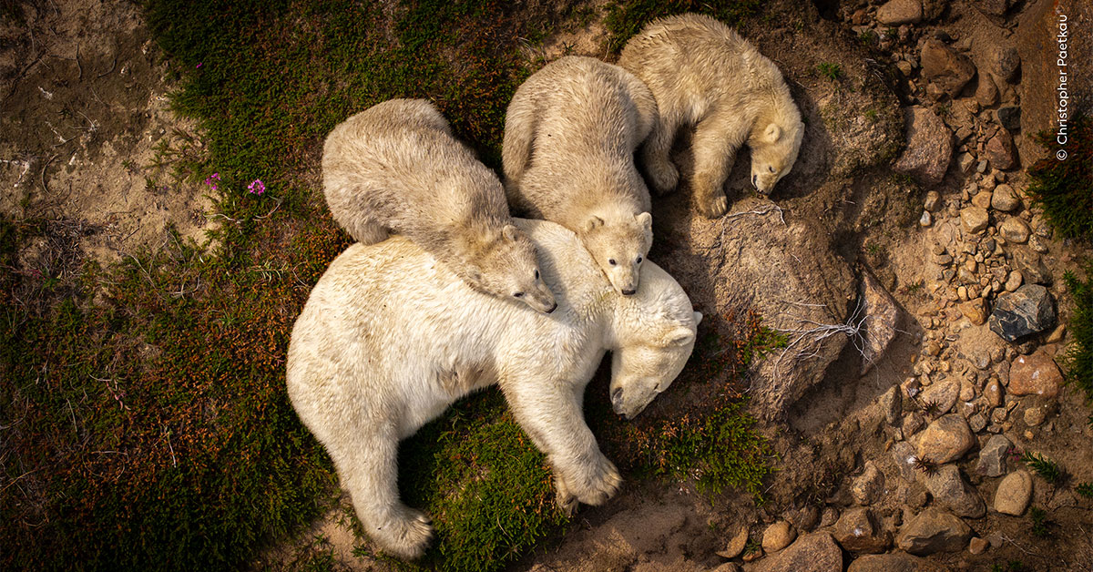 Earth Touch tweet media