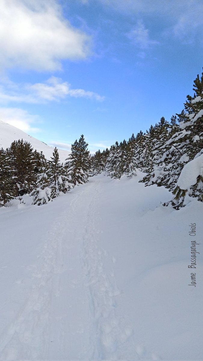 Jaume Bassaganya Obiols 🇦🇩 🏔️🚴 tweet media