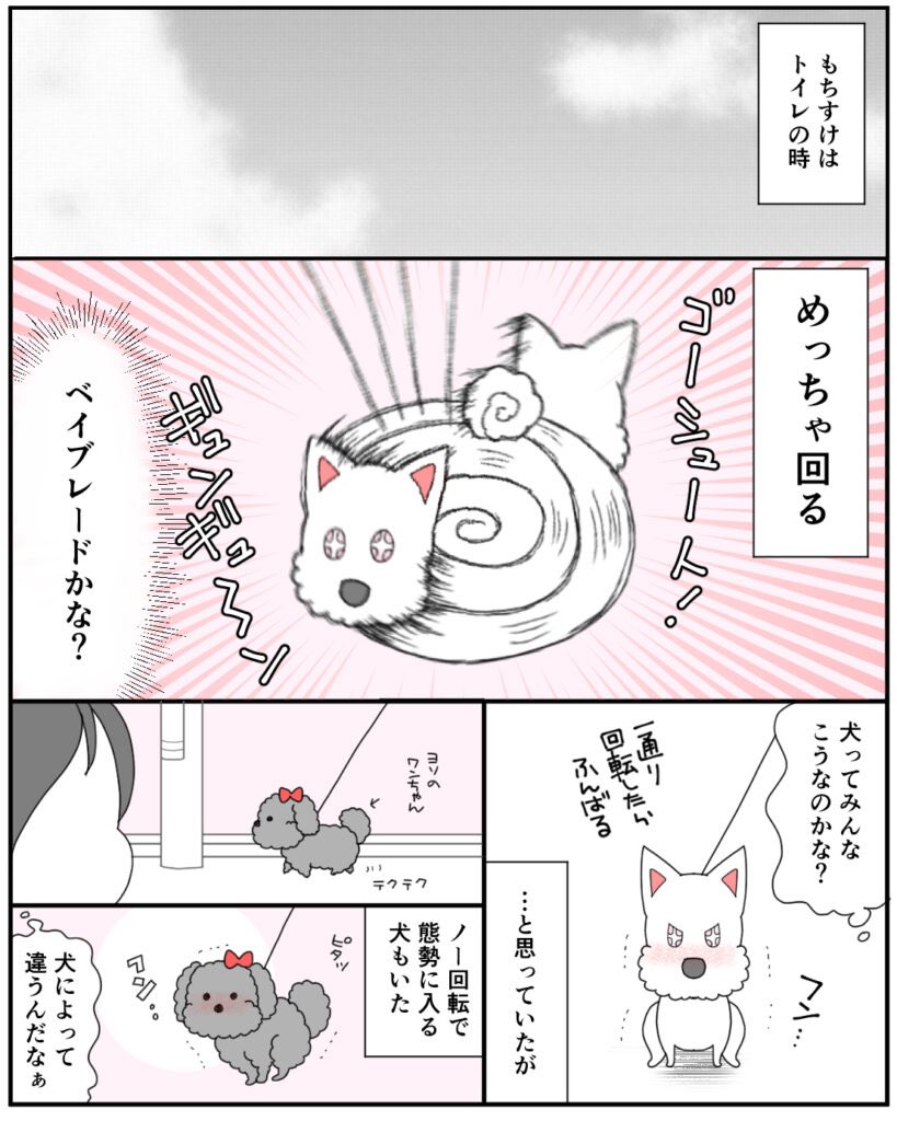 トイレ時にめっちゃ回転する犬、もちすけ 
