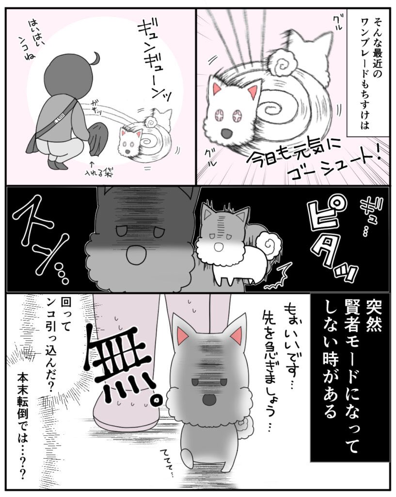 トイレ時にめっちゃ回転する犬、もちすけ 