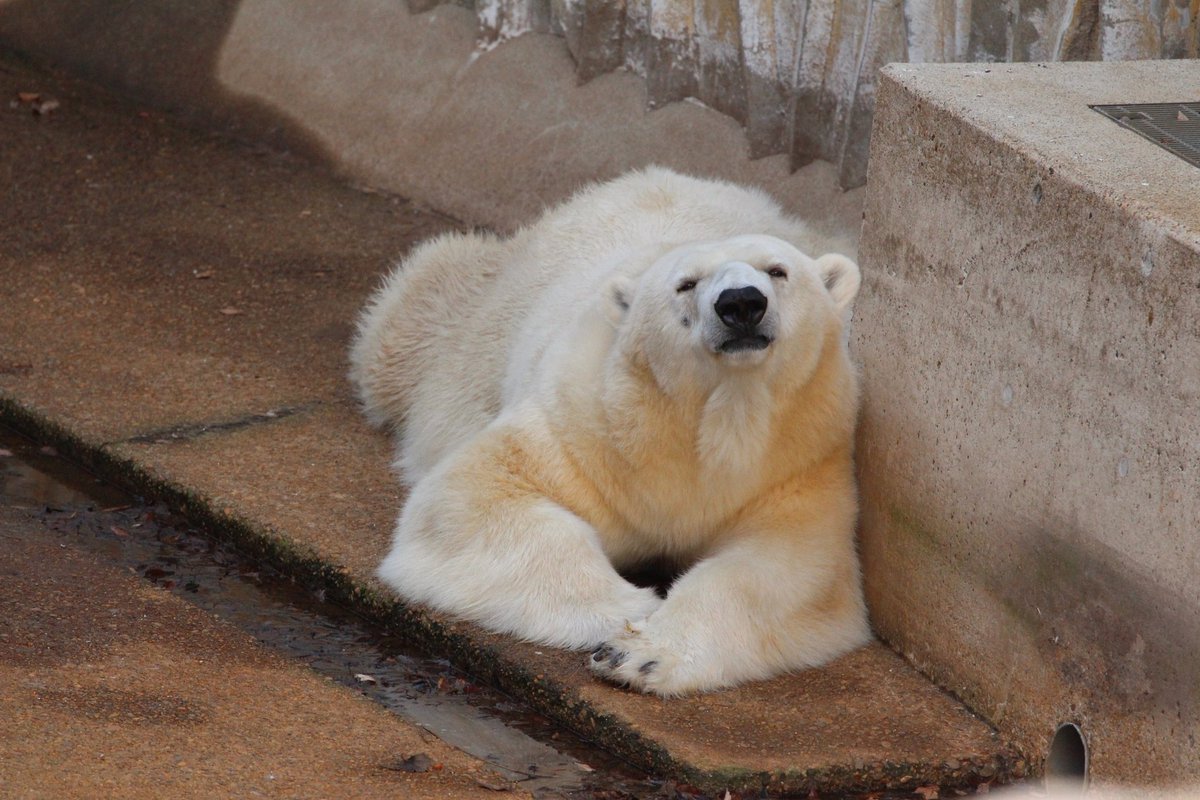 時々登場ミリーさん！