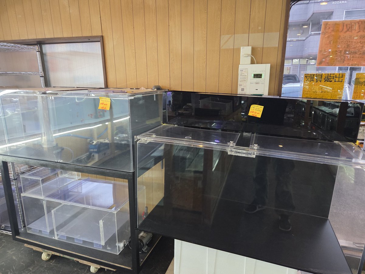名古屋店オープンしております‼️ 1200水槽2台販売中です‼️片方は
