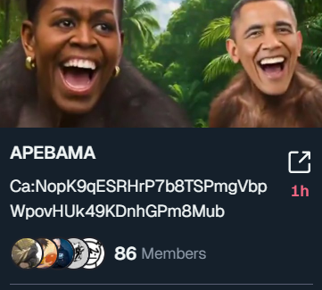 qkl9963's tweet photo. 🌙  $APEBAMA 被AI选币系统精准命中🎯

Meme 币猎手集合！AI 助你精准出击！  

📊 $541→ $3058， $APEBAMA 完美捕获！  

 CA：NopK9qESRHrP7b8TSPmgVbpWpovHUk49KDnhGPm8Mub

代币K线查看👇
gmgn：https://t.co/OFChiXQTiv

OKX钱包：https://t.co/S0CbTkmQDZ

💡 高胜率公式：AI 分析 + TG 秒杀机器人  

🔎 潜力币雷达：https://t.co/UP18iqIfDf

查看钱包/复制交易：https://t.co/8j0K39p3pT

🔥以下叙事总结来自Debot https://t.co/WIw8mcJNey

叙事总结：APEBAMA代币源于Twitter社区关于奥巴马与猿猴meme文化的推文报道，背景为总统选举热点与NFT狂热结合，其标志展示了戴着墨镜的卡通猿猴模仿奥巴马经典姿势。

🚀 交易快人一步：https://t.co/T2Xa76fadk
 
也可以使用Okx钱包交易：https://t.co/GD2nUCF2XY

OKX钱包邀请码CASH888（永久自动返佣20%，阶梯增加，最高40%）

 扫链教程👇