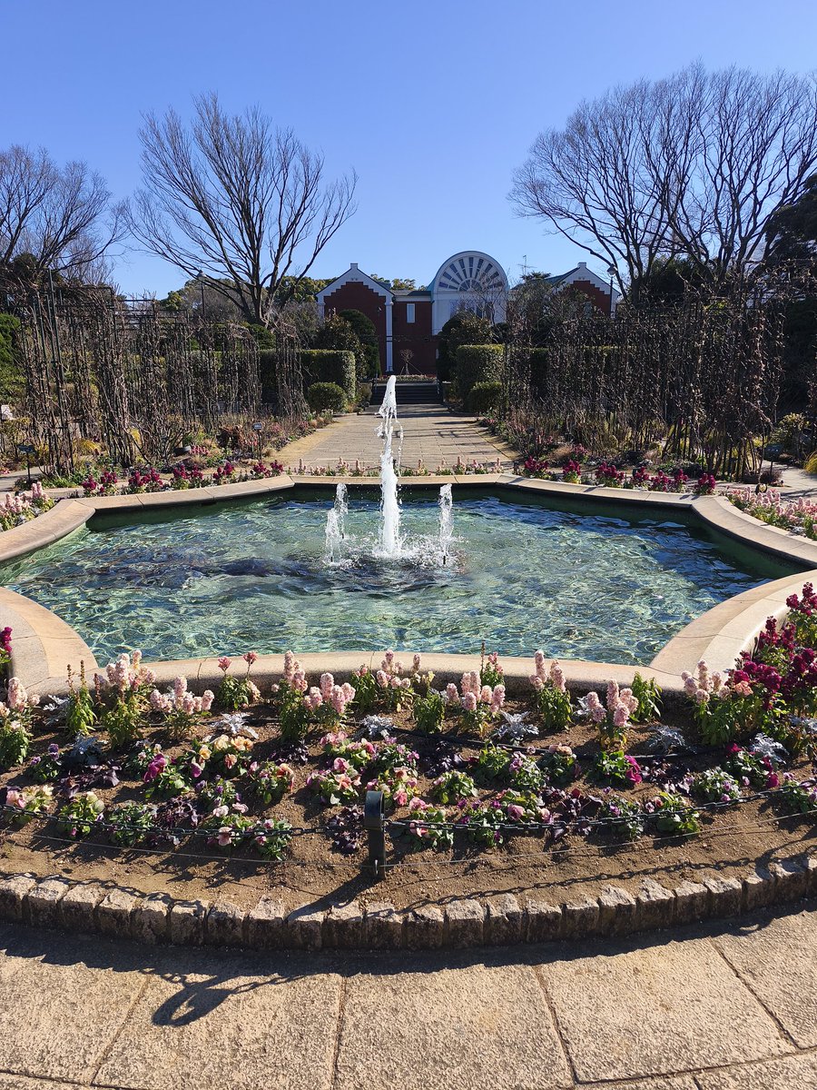 junnet8686's tweet photo. 【港の見える丘公園】
今日も暖かかった。 https://t.co/ZqNqZYbTvC