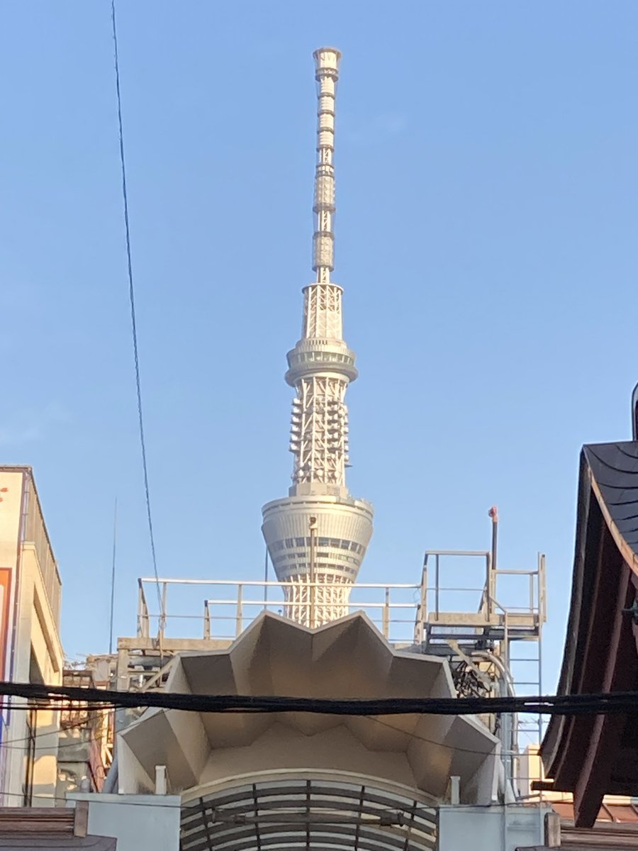 今日のスカイツリーくん
とても暖かい1日ですねぇ