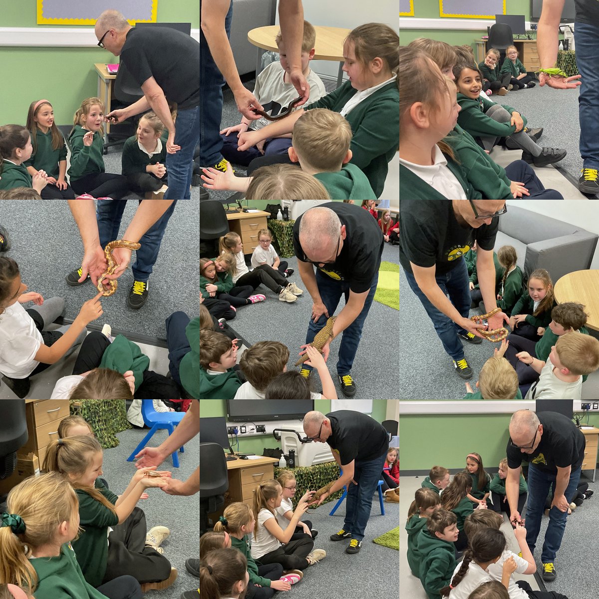 bugsnstuff.com tweet media