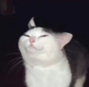 🉐 Crypto Linn tweet media