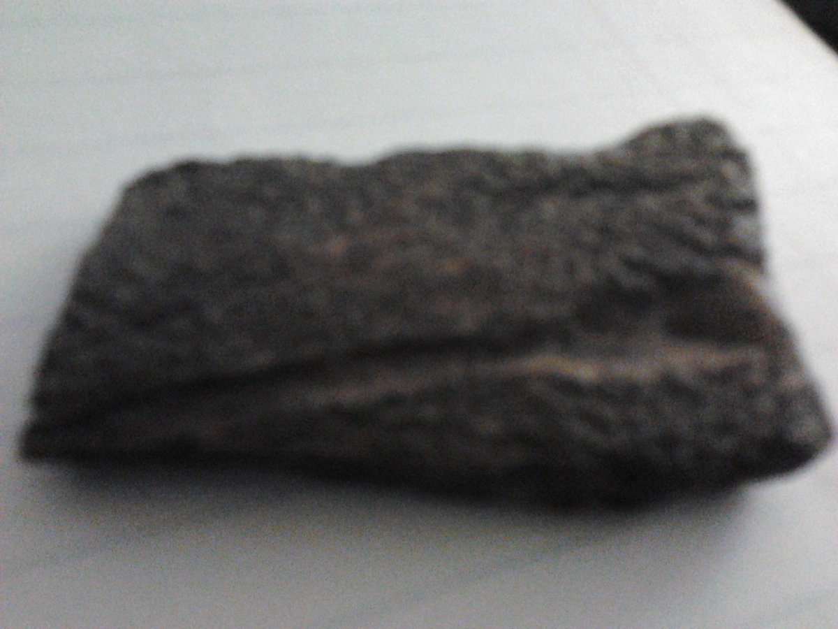 blanketcrap's tweet photo. @AlboMP I asked AI to give me a picture of the fish/shark the plate belonged to and got this #placoderm #prehistoric  #shark #paleontology #History #HistoryMatters #Science #Queensland #qldpol #auspol #discovery #australia https://t.co/x3NvHEmxAj https://t.co/8bTMtaRCTR