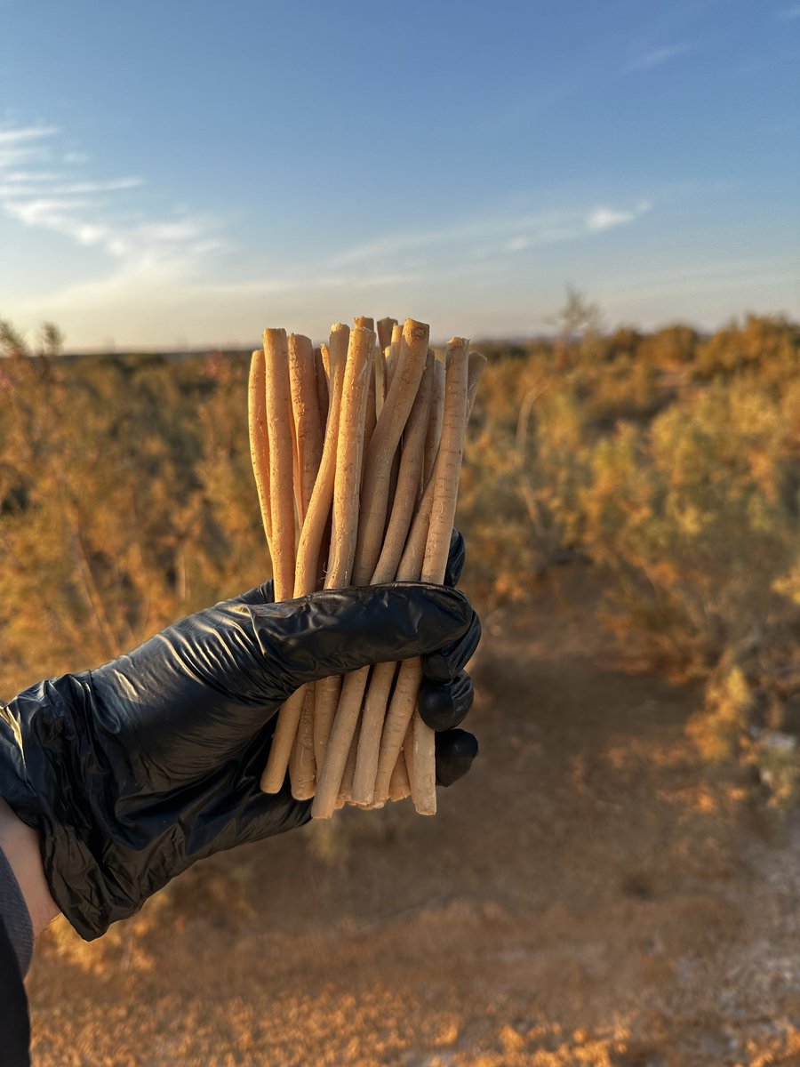 متجر ابو حنش للسواك tweet media