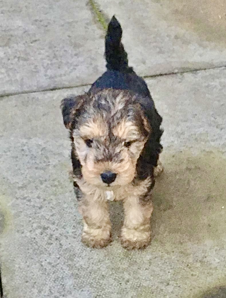 Bertie Lakeland tweet media