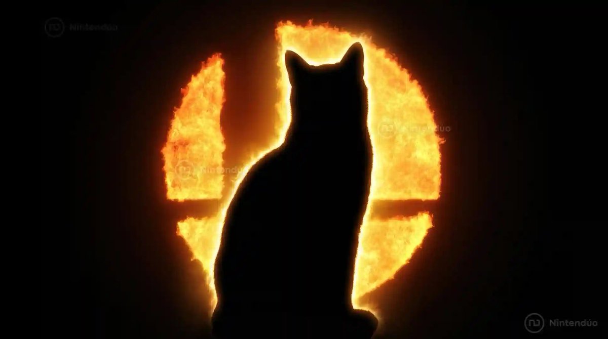 Nintendúo tweet media