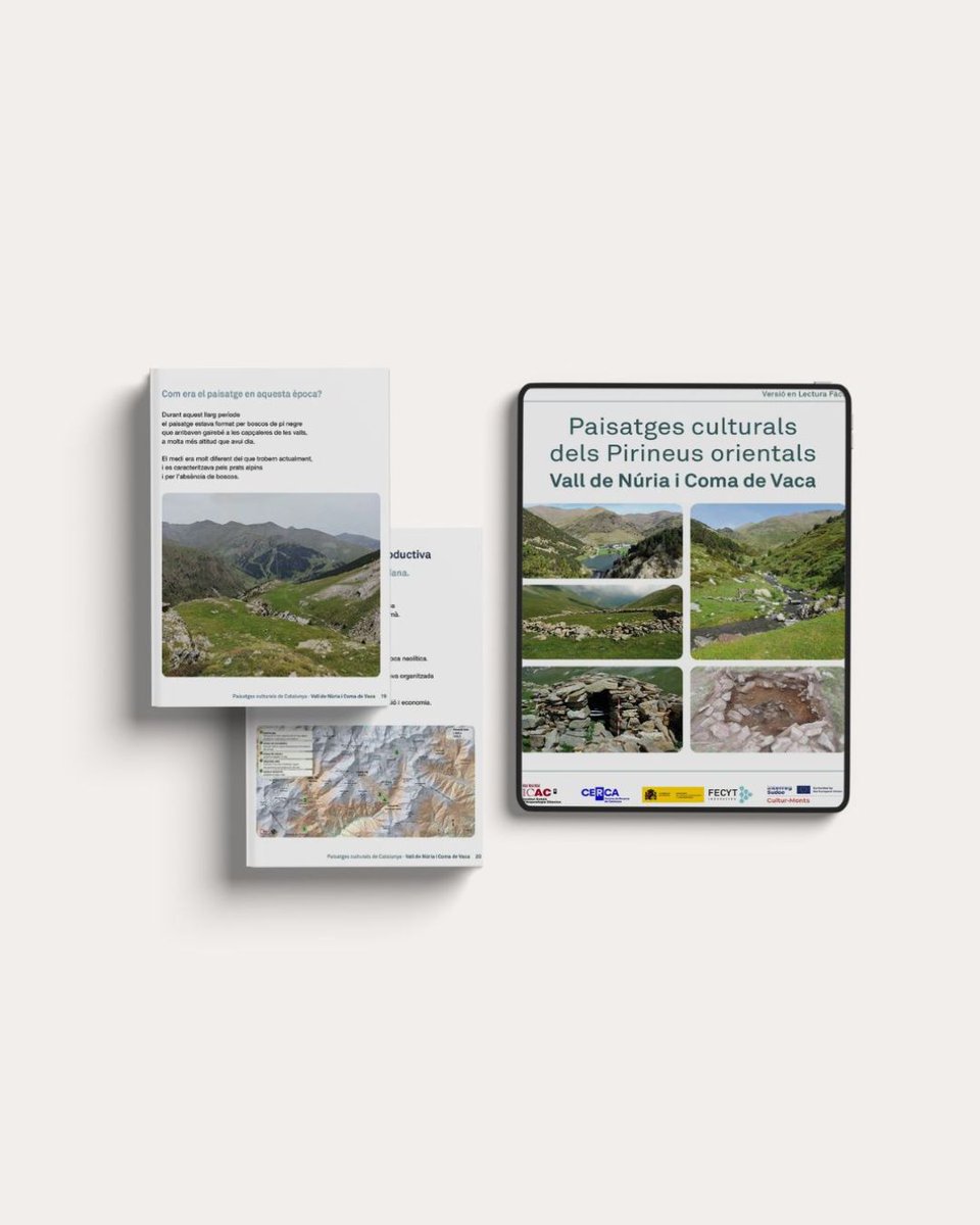 Associació Lectura Fàcil tweet media