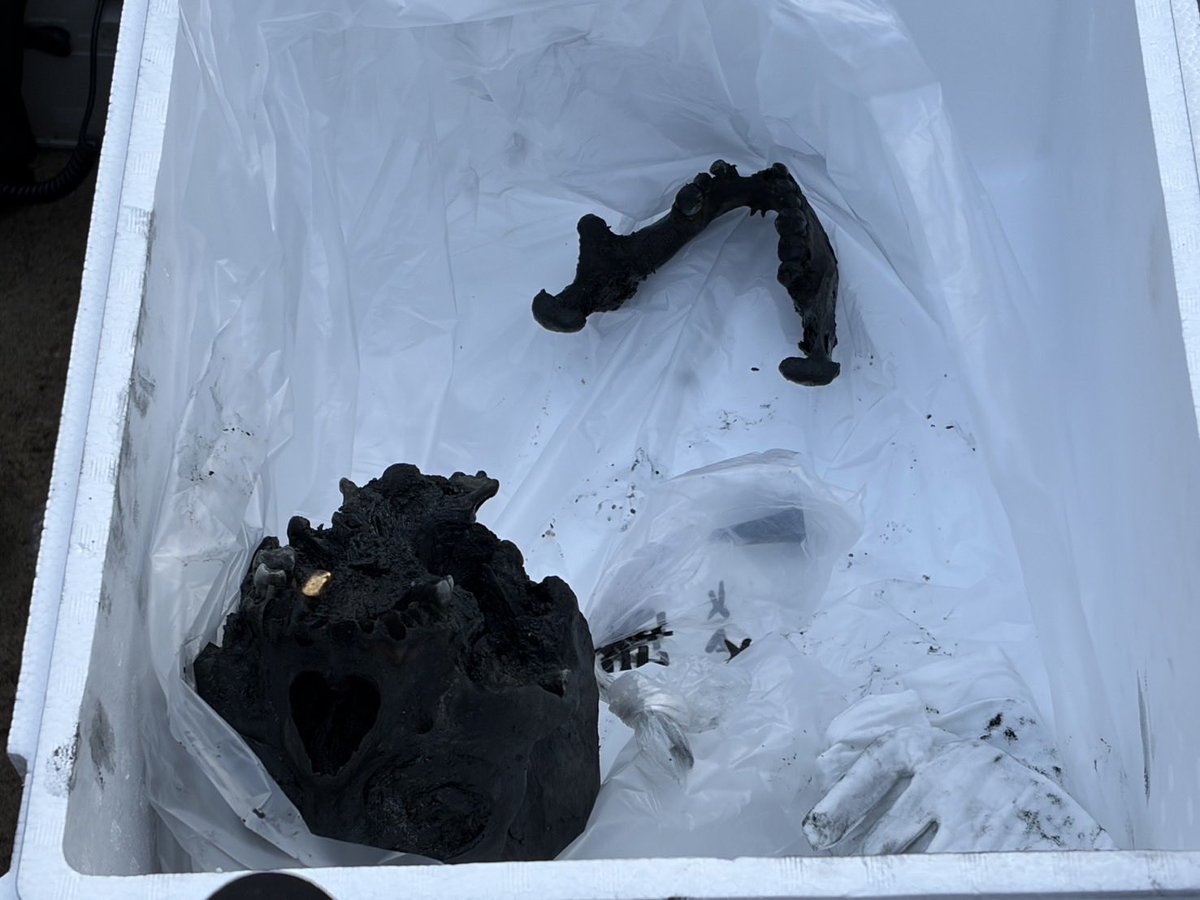 Chouseikizamu's tweet image. 頭蓋骨は真っ黒。歯がしっかり残っていました。#長生炭鉱 
撮影：朴 順梨(パク・スニ)