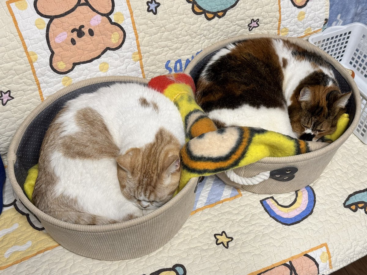 JZ5 (@jz5) / Posts / X