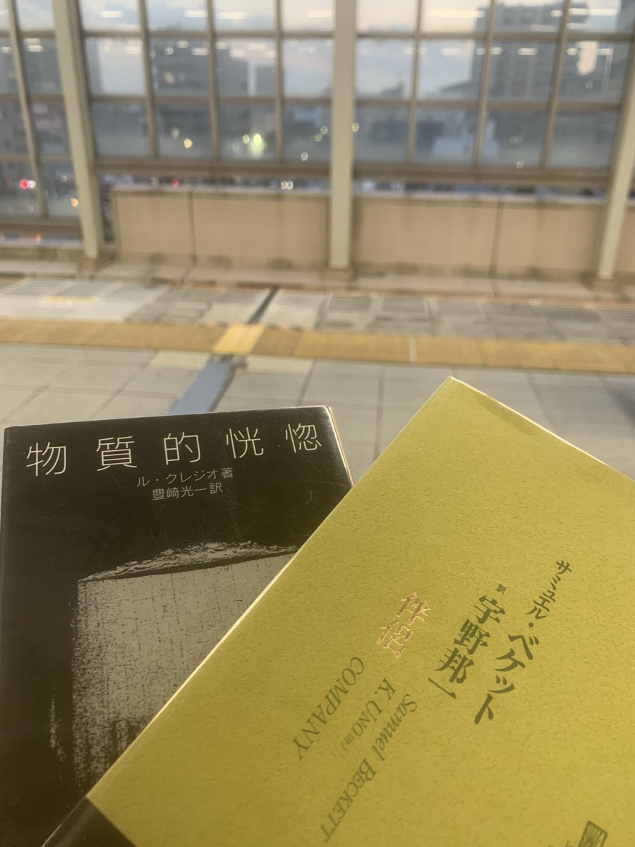 今週の電車読書、行きはベケット『伴侶』帰りはクレジオ『無限に中ぐらいのもの』いったいあと何往復すればいいのか。