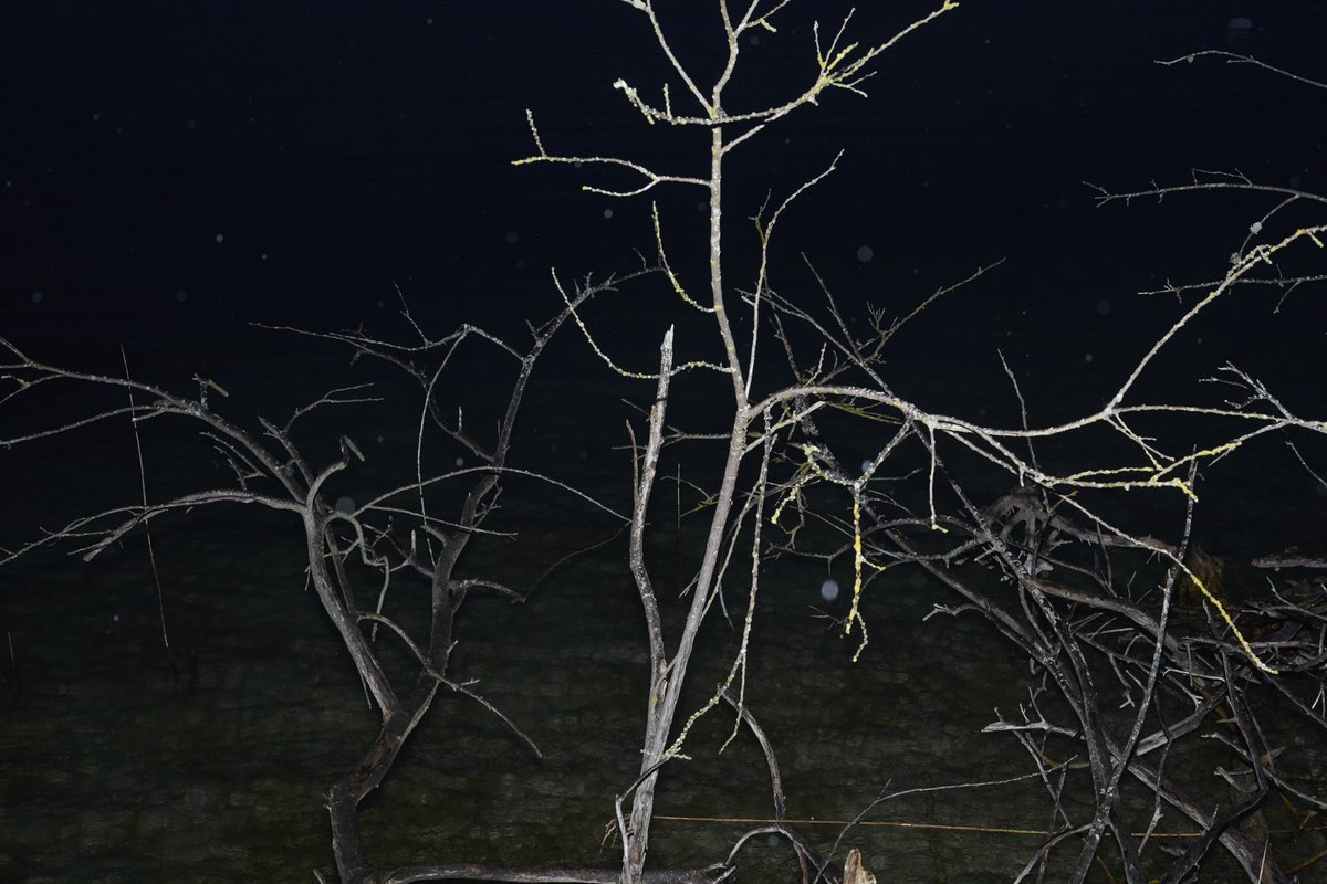 El camino que quieras