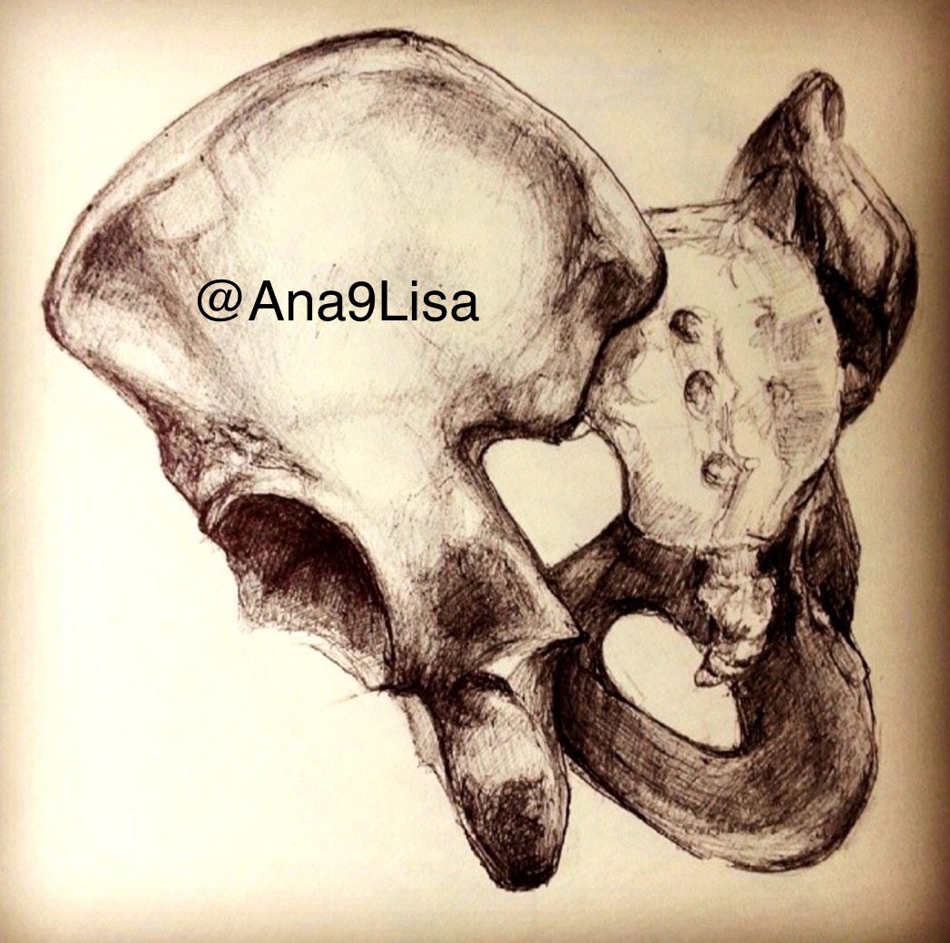 Hoy os enseño estudios de huesos de anatomía de hace muchos años, están hechos a boli, no podíamos usar lápiz ni por lo tanto borrar, tenían que ser precisos a mano alzada y a la primera, fue un gran entrenamiento, la verdad, espero que os gusten. ❤️