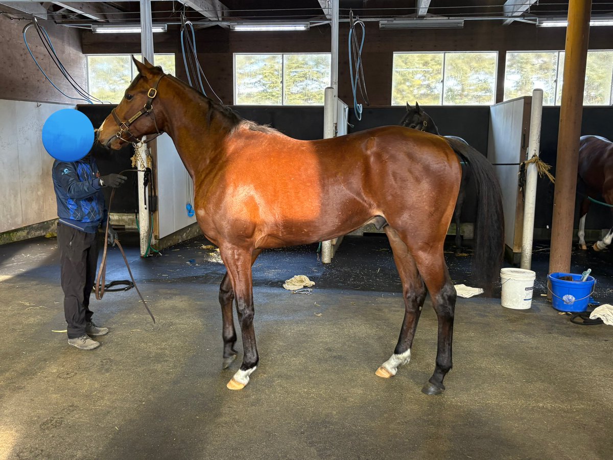 なーる tweet media