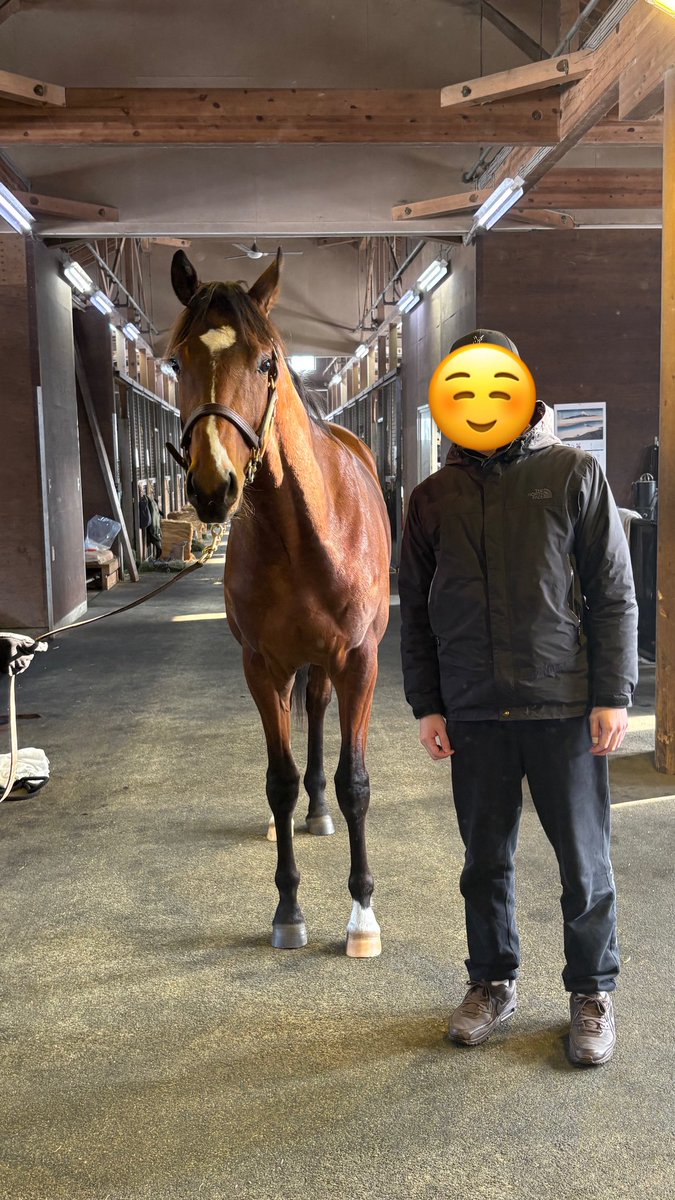 なーる tweet media