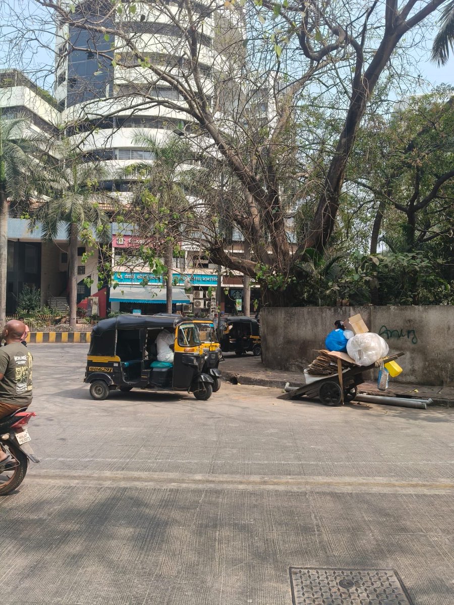 LIONSSolMarg's tweet photo. See before pots and after pots. https://t.co/tsTVrXgNz6