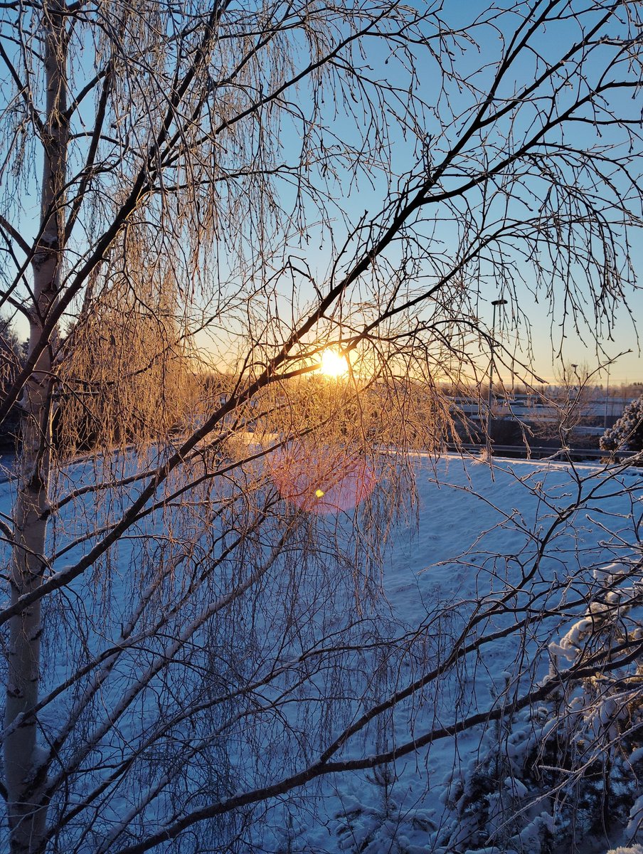 It is -15C and the sky is very blue