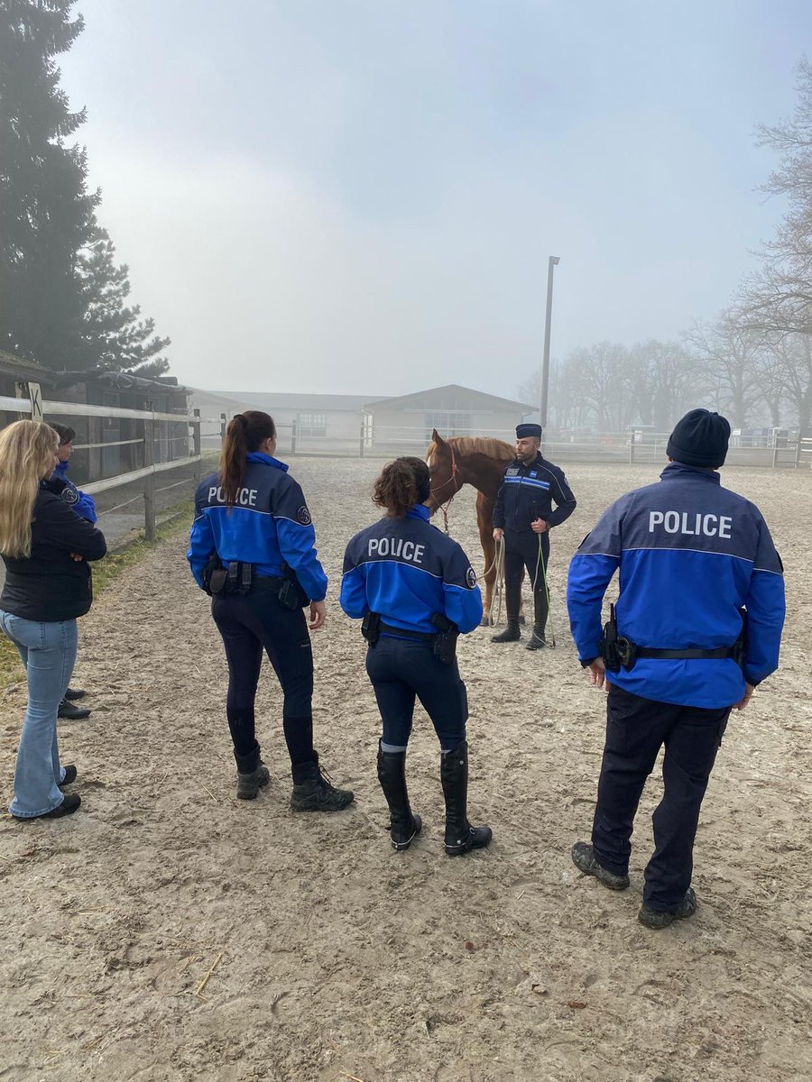 PMdeNice tweet media