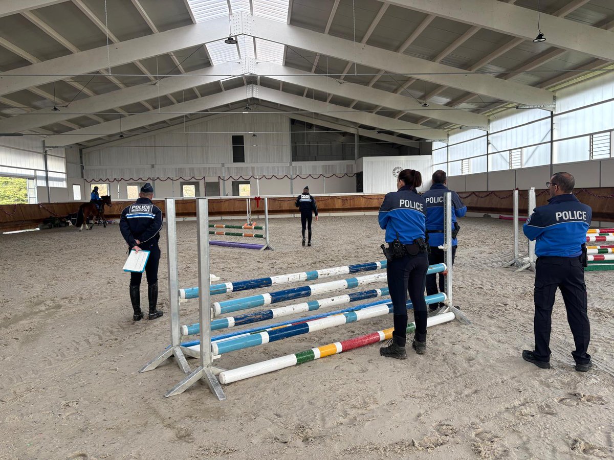 PMdeNice tweet media