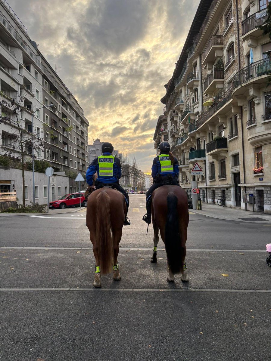 PMdeNice tweet media