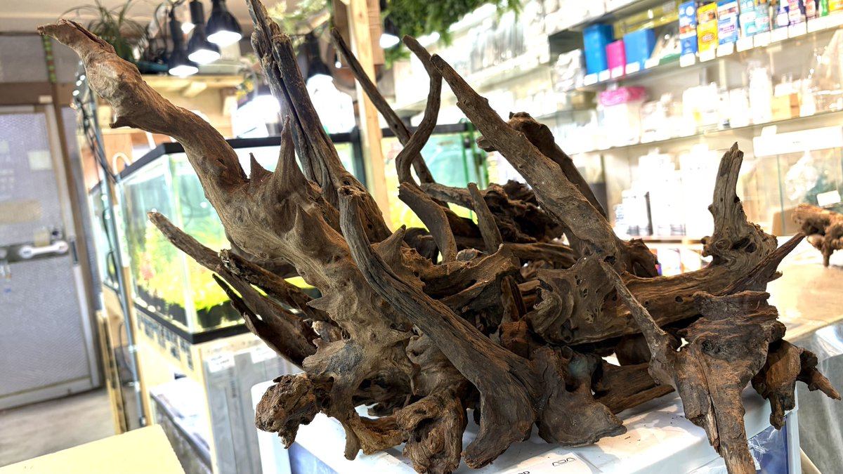 ADAホーンウッド補充しました。店舗にてお気に入りをお探しください