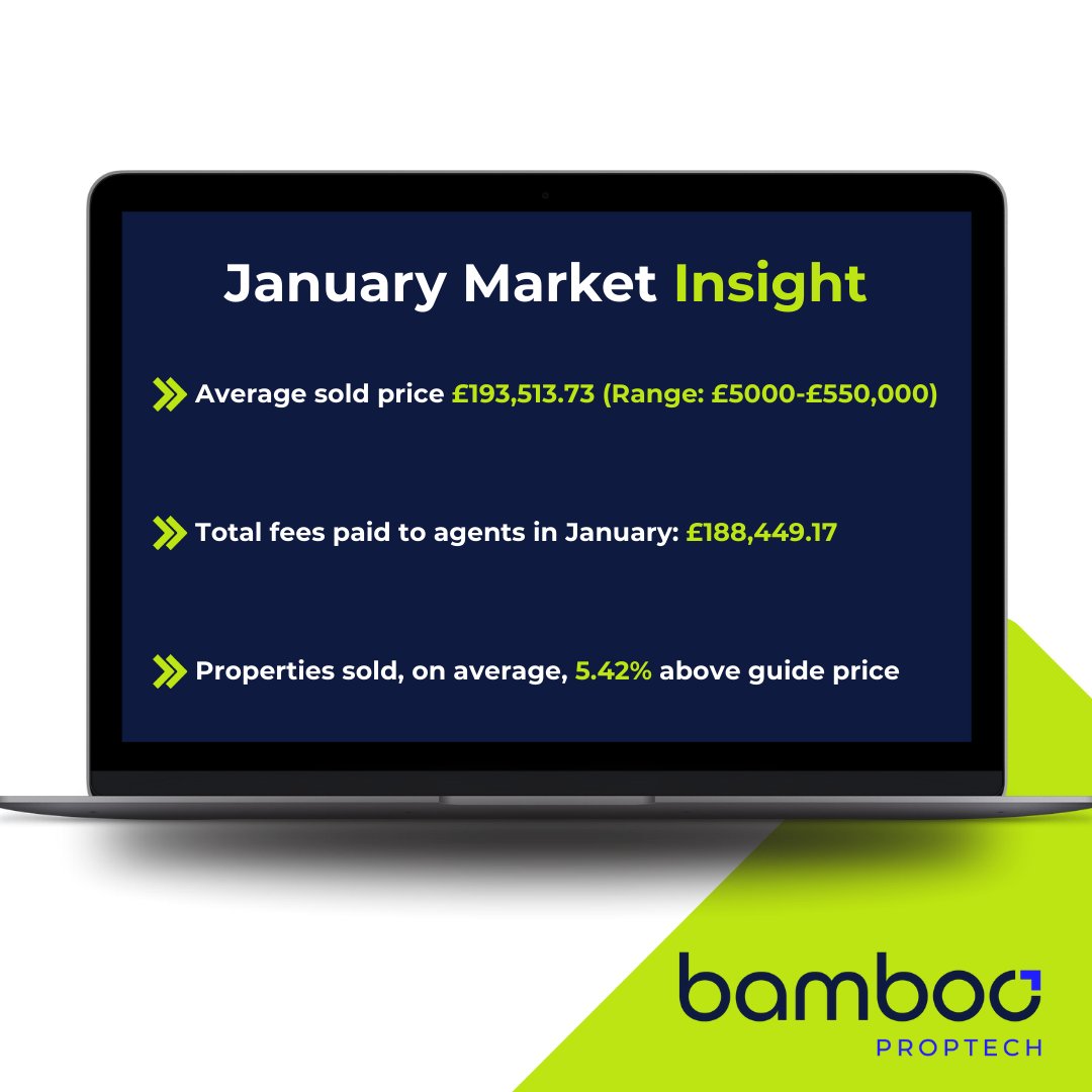 Bamboo Auctions tweet media