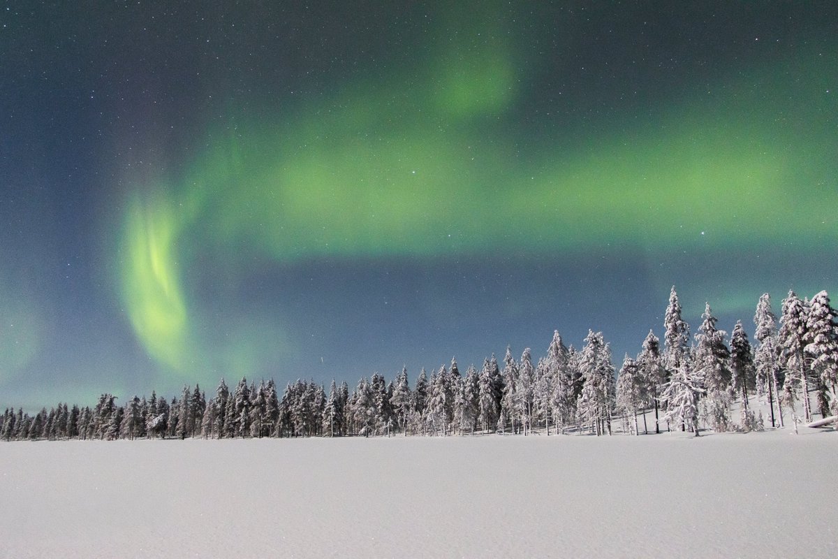 Tom Citoleux tweet media