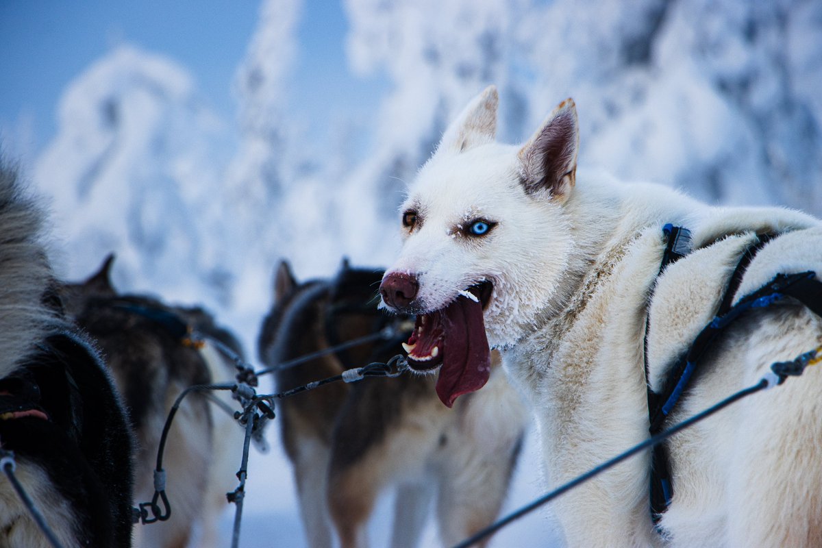 Tom Citoleux tweet media