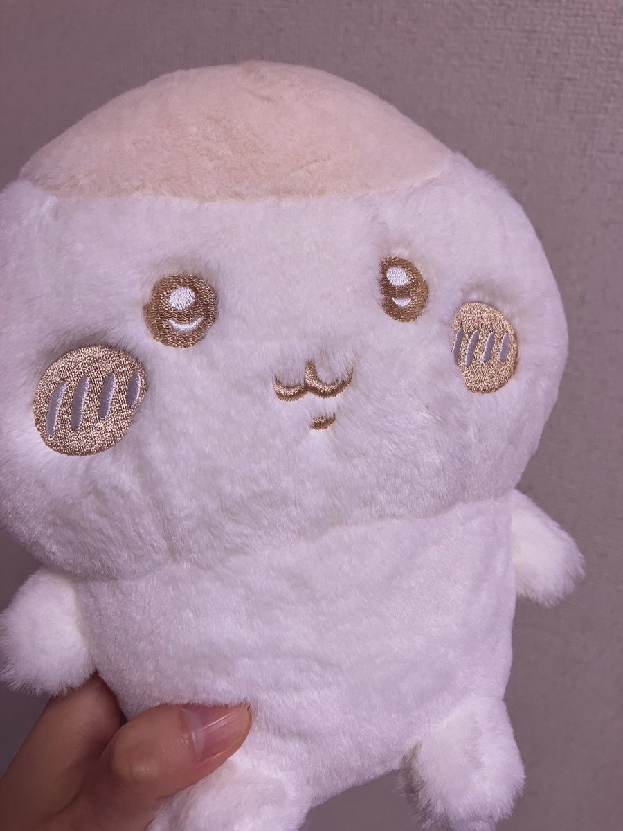 saki_rd's tweet photo. もふもふくりまんじゅう先輩🌰 https://t.co/l3OtD7cjAv