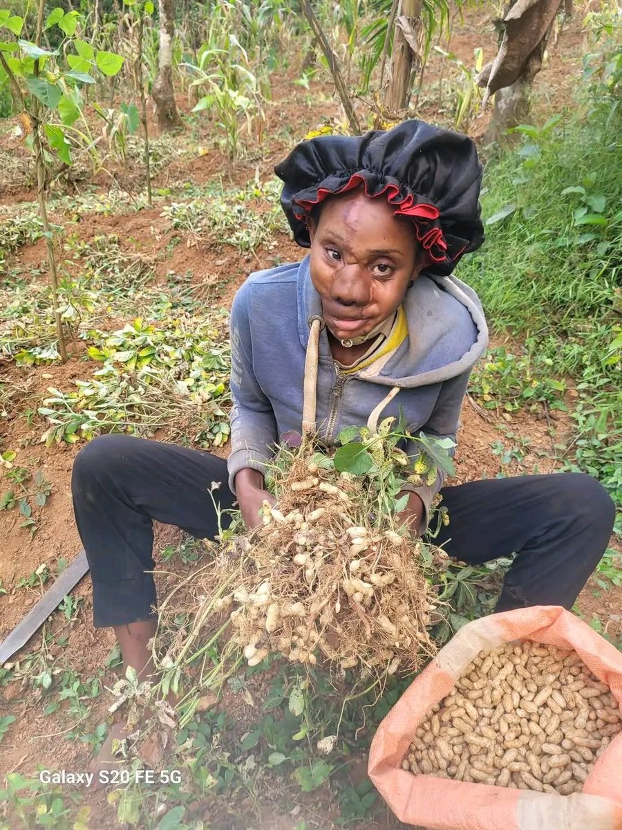 IMPACT🥴 tweet media