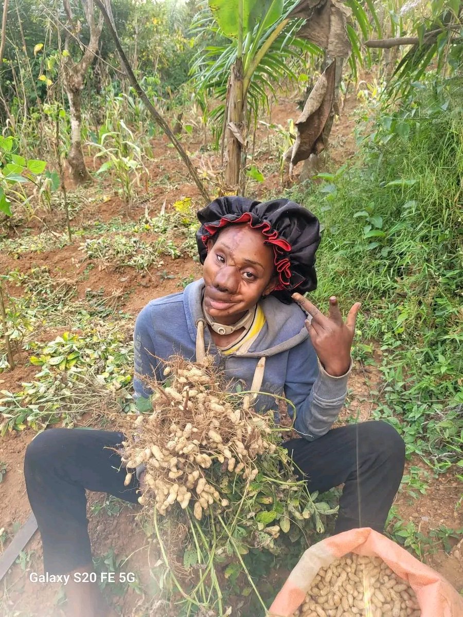 IMPACT🥴 tweet media