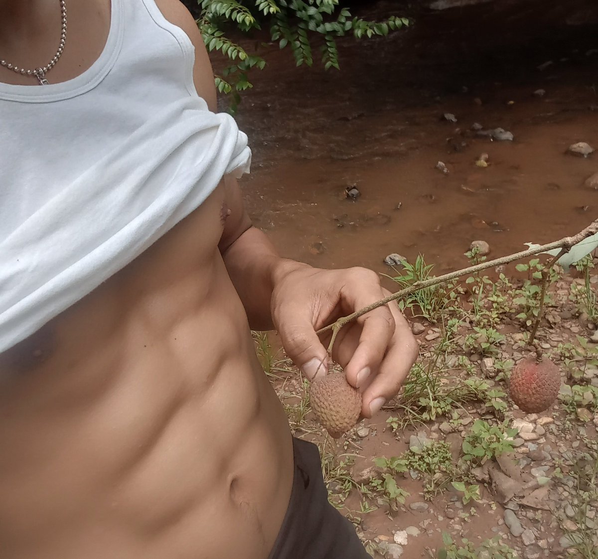 Luang prababang city Laos tweet media