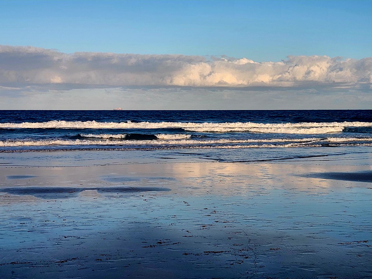 Sunflower123 tweet media