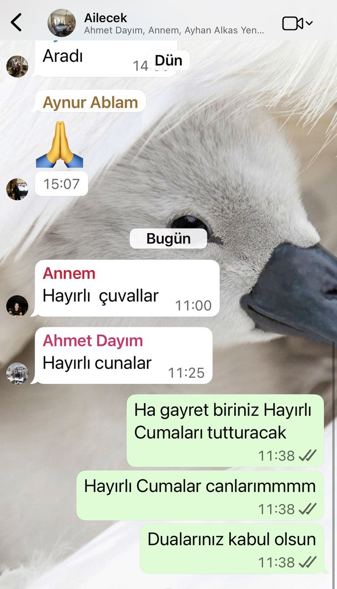 Aile grubumuzda bir türlü yazılamayan HAYIRLI CUMALAR mesajımız