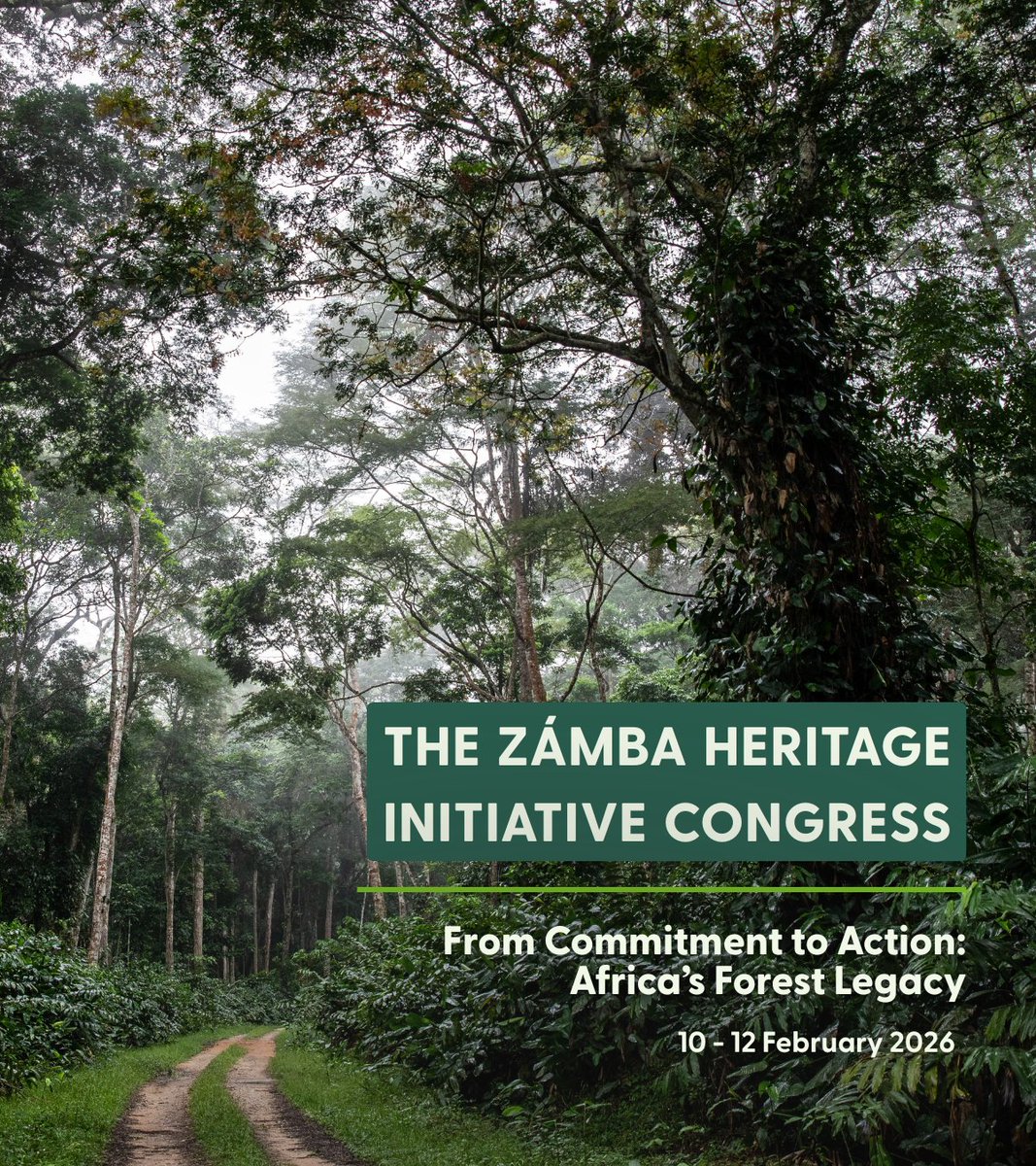 Forest Stewardship Council tweet media