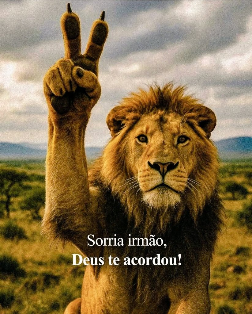 cristaassis's tweet image. 😃👇