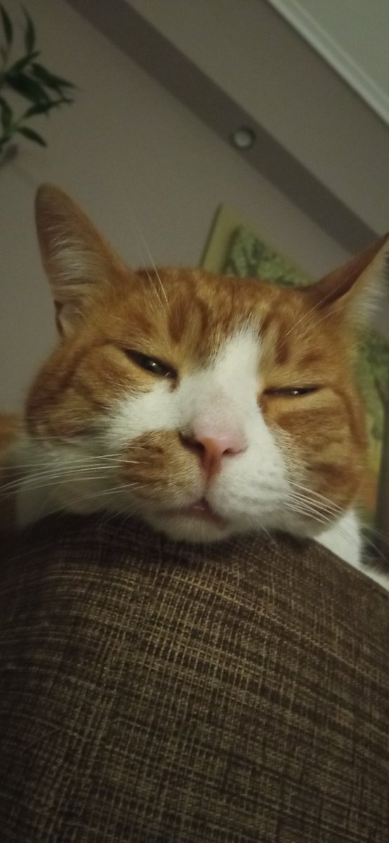 Ναι και άσε μας τώρα γιατί θέλω να τσιμπήσω κάτι για να μην φάω μετά με άδειο στομάχι.