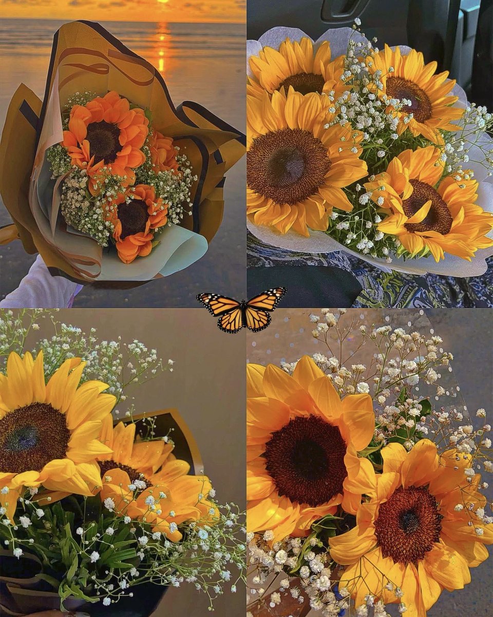sunflowerchives's tweet image. sunflowers🌻