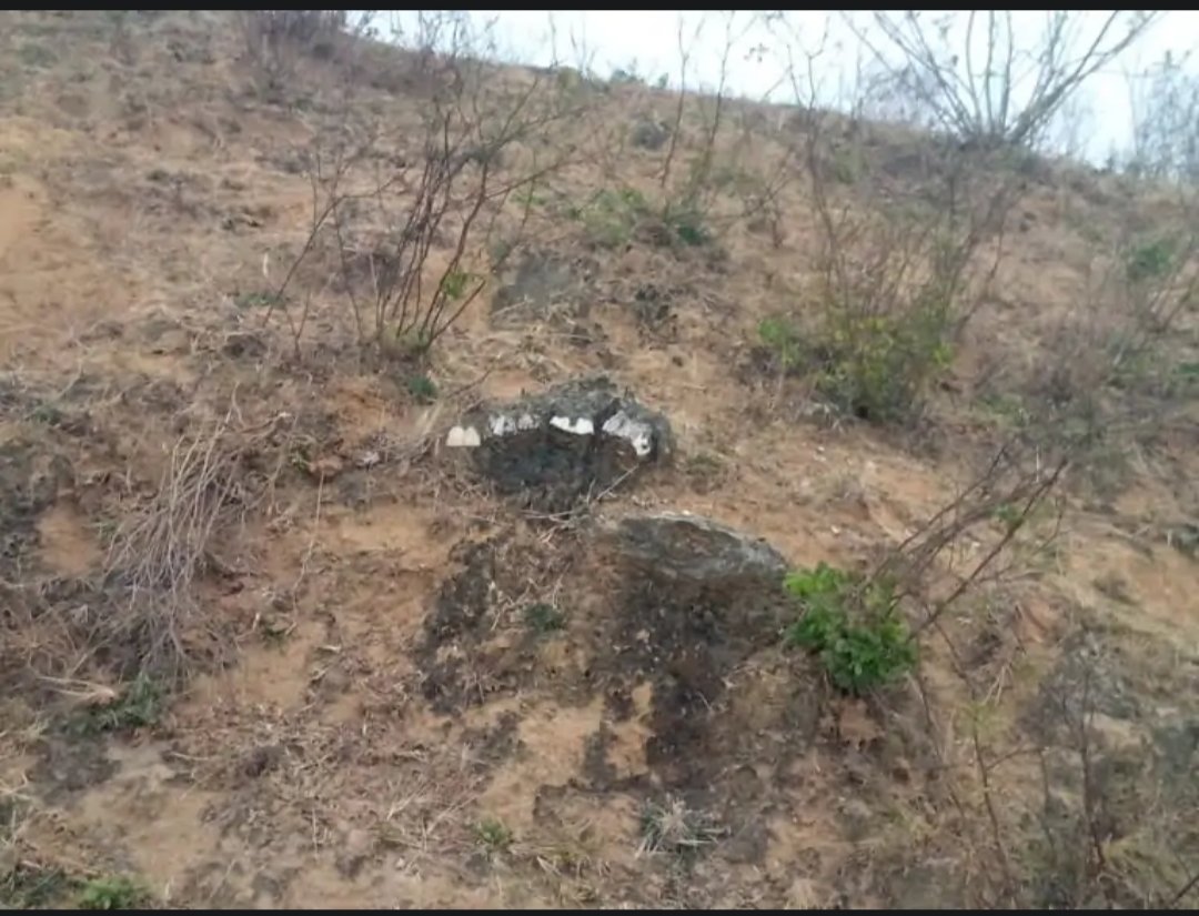 pwnkewat's tweet photo. Suspected fossilized remains (teeth and bones) observed embedded in rock on a hillside in Sidhi district, Madhya Pradesh.
Preliminary observations suggest a large ancient herbivore. Expert geological verification needed.
#Fossils #Geology  @GeologyIndia @ASIGoI #GSI #पुरातत्व https://t.co/k58smLhnRc